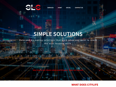citylifeconsulting.com snapshot