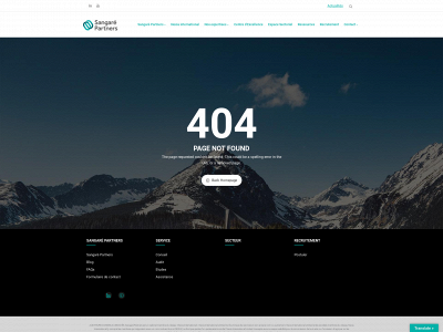 sangare.co snapshot