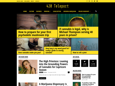 420teleport.com snapshot