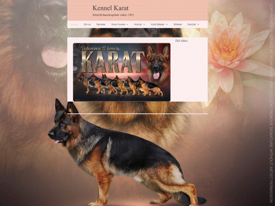 karats.dk snapshot