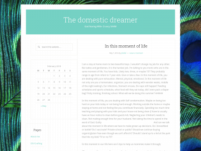 domesticdreamer.com snapshot