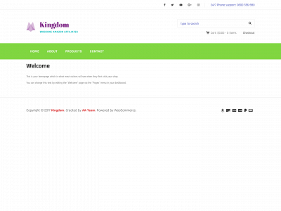 mobilesolutionsnow.com snapshot