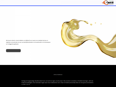 multijobsbvba.be snapshot