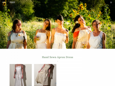 www.tyet.shop snapshot