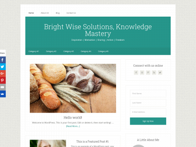 brightwisesolutions.com snapshot