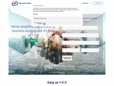 approvedcapitalpartners.com snapshot