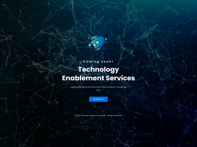 techenableservices.com snapshot