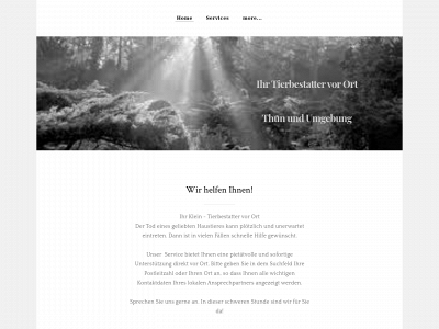 haqineki.cyon.site snapshot