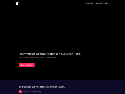 socialbunnymarketing.com snapshot