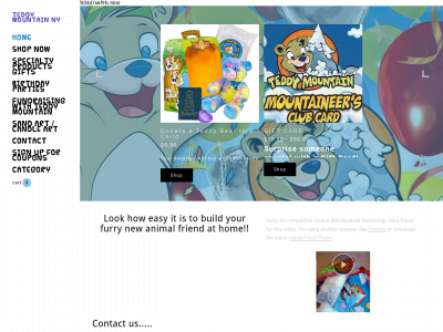 www.teddymountainny.com snapshot