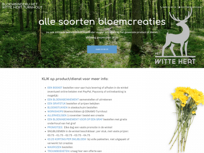 bloemen-turnhout.be snapshot