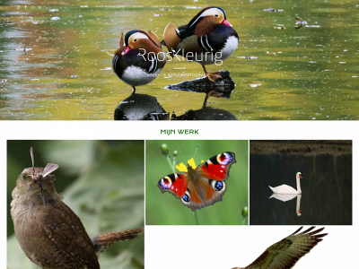 rooskleurig.nu snapshot