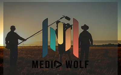 mediawolf.uk snapshot