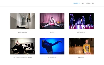 dashadasha.se snapshot