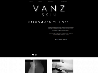vanzskin.se snapshot