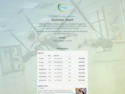 vitasana.se snapshot