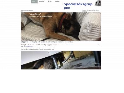 specialsoksgruppen.se snapshot