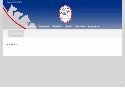patteenmain.org snapshot