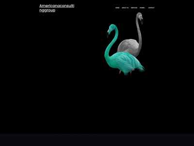 americanaconsultinggroup.com snapshot