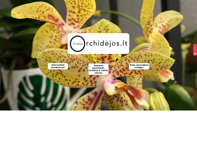 orchidejos.lt snapshot