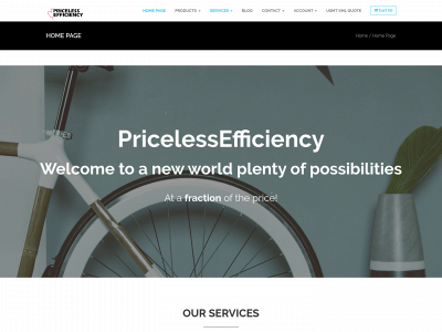 pricelessefficiency.com snapshot