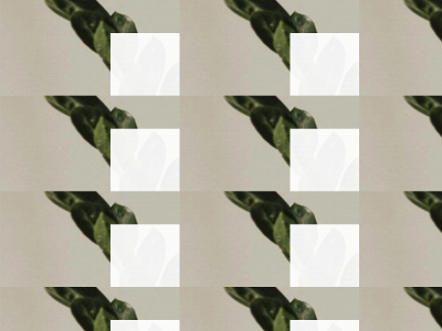 goegeplant.com snapshot