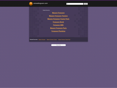 anissaferguson.com snapshot