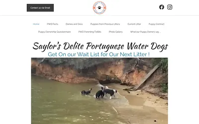 saylorsdelitepwd.com snapshot