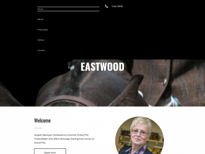 angelaniemeyereastwood.co.uk snapshot