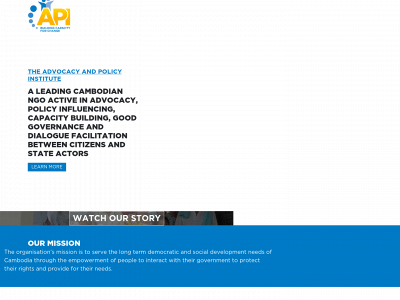 apiinstitute.org snapshot