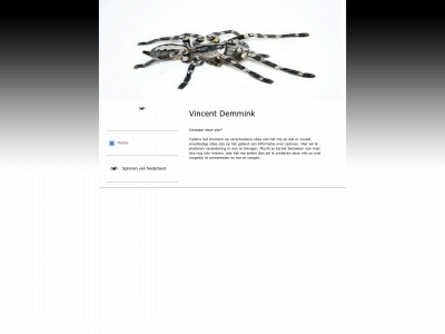 demmink.net snapshot