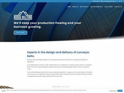 ridgebelting.com snapshot