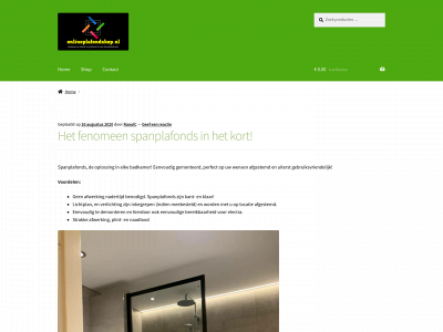 onlineplafondshop.nl snapshot
