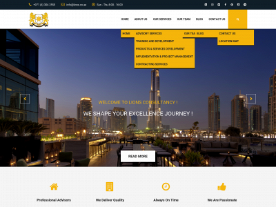 lions.co.ae snapshot