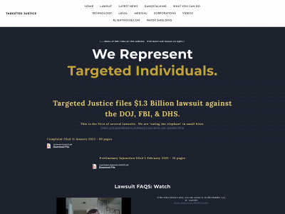 www.targetedjustice.com snapshot