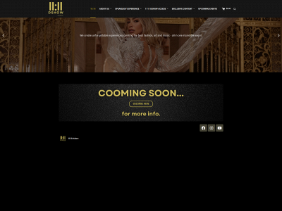1111dshow.com snapshot