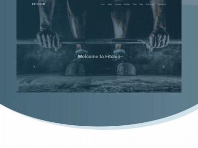 fitnessfinance.net snapshot