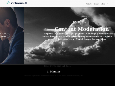 virtuousai.com snapshot
