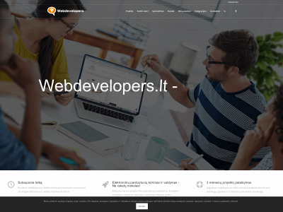 webdevelopers.lt snapshot