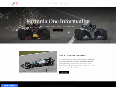 f1information.weebly.com snapshot