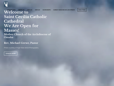 stceciliacathedral.org snapshot