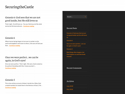securingthecastle.com snapshot