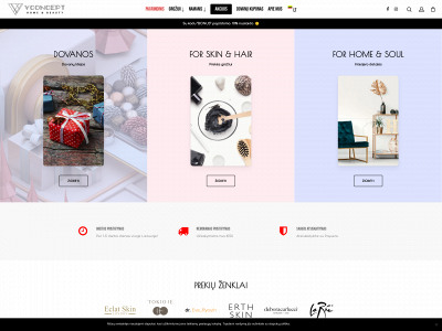 vconcept.lt snapshot