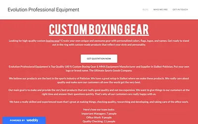 customboxinggear.weebly.com snapshot