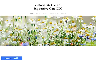 vmgsupportivecare.weebly.com snapshot