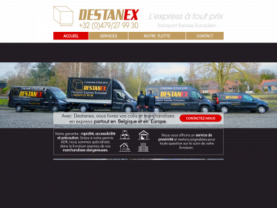 destanex.be snapshot