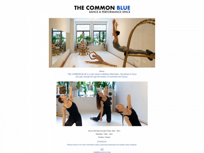thecommon.blue snapshot