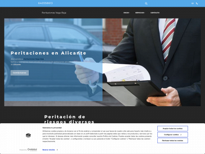 www.peritacionesvb.es snapshot