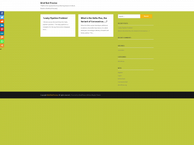 briefbutprecise.com snapshot