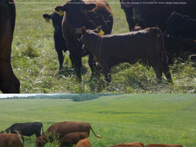 harmoncreekfarms.com snapshot